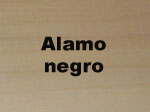 alamo negro
