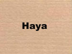 haya