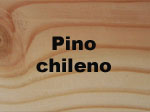 pino chileno